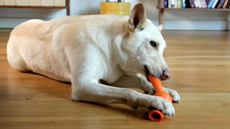 Illustration for article titled Treat-Dispensing Chew Toys That Fit Your Dog's Tennis Ball Launcher